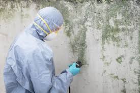 Best Mold Documentation for Insurance Claims  in Eastern Goleta Valley, CA